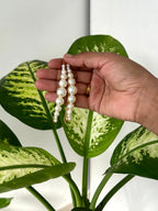 Pearl Arc Pins [pair]