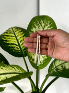 Pearl Arc Pins [pair]