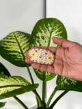 Meadow Stitch Hair Clip