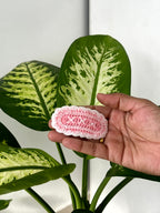 Bloom Stitch Hair Clip