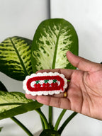 Candy Cane Crochet Clip
