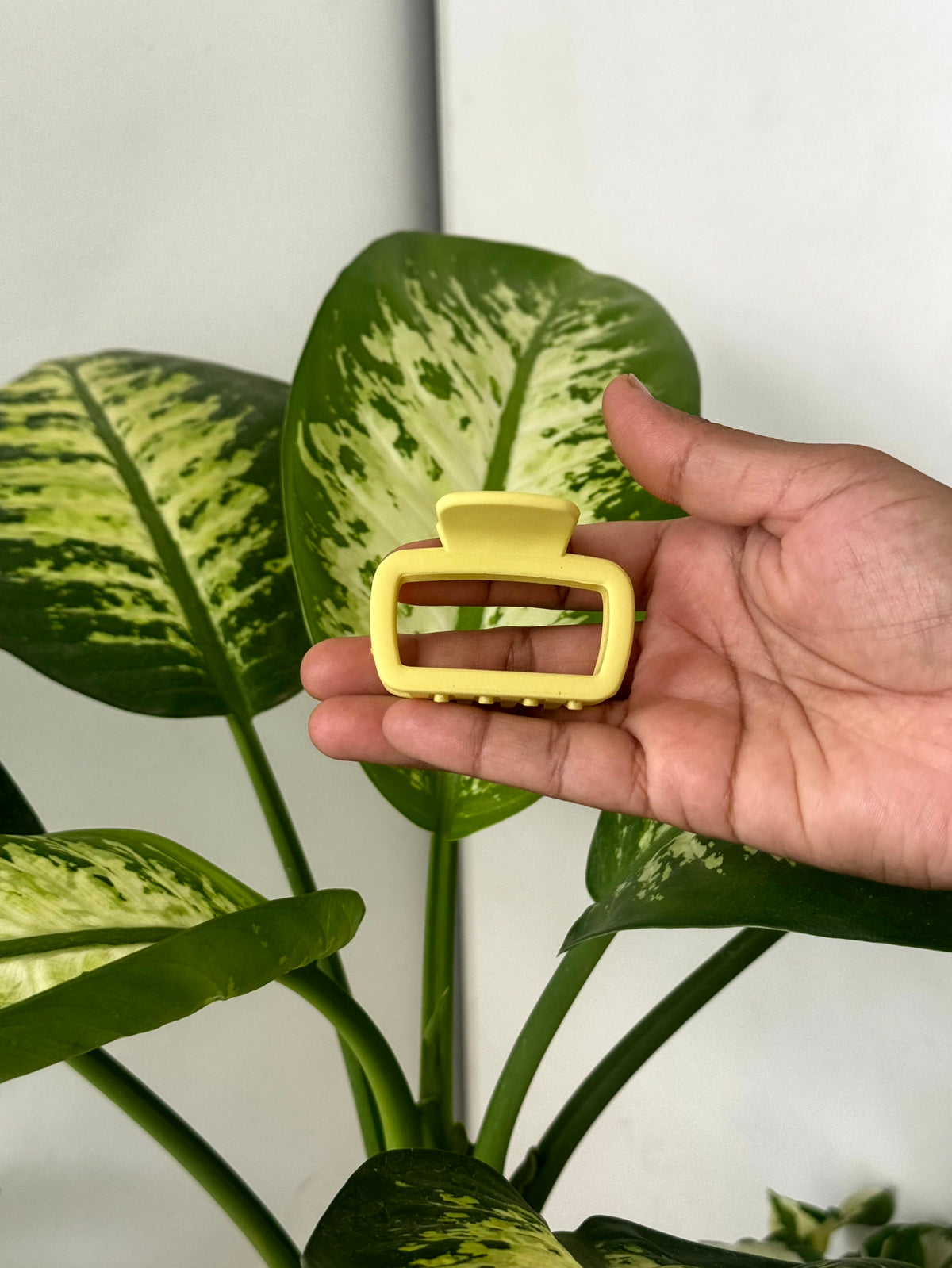 Pop Frame Hair Claw
