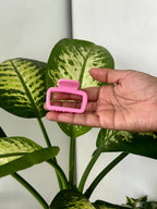 Pop Frame Hair Claw