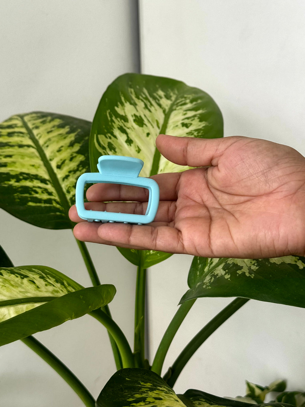 Pop Frame Hair Claw