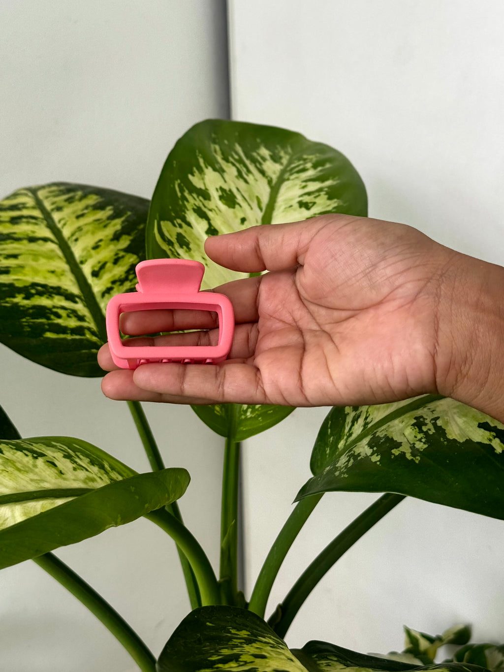 Pop Frame Hair Claw