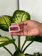 Pop Frame Hair Claw