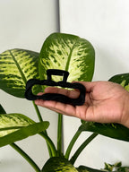 Durable Bowline Butterfly Hair Claw