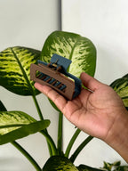 Dual-Tone Frame Claw Clip
