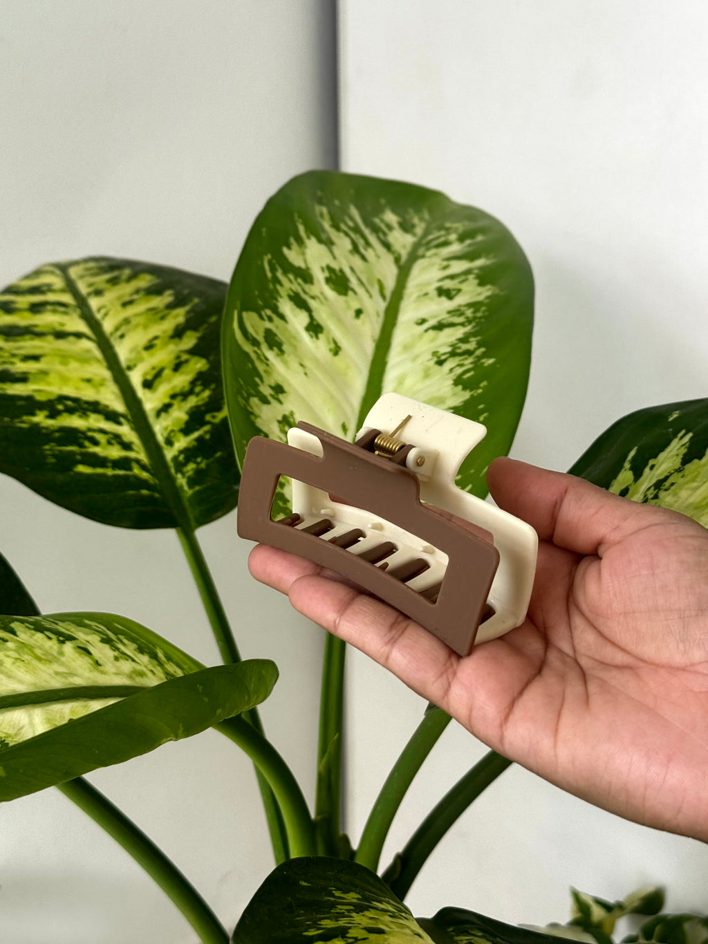 Dual-Tone Frame Claw Clip