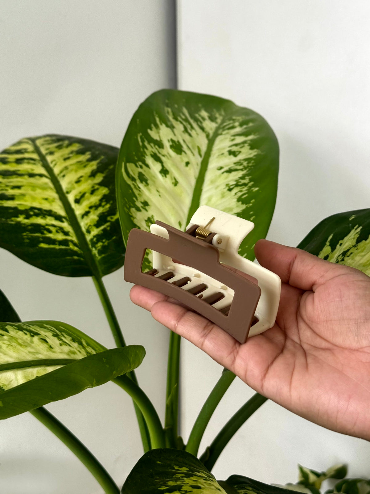 Dual-Tone Frame Claw Clip