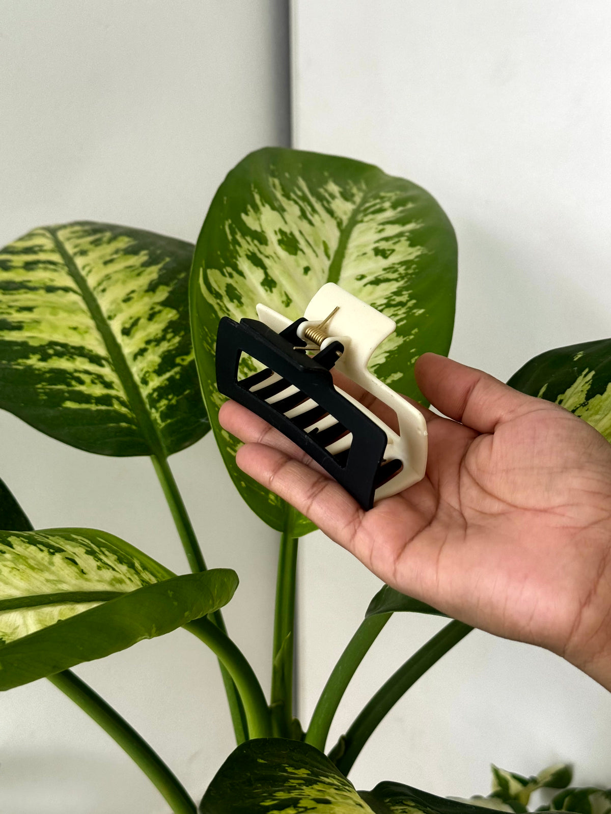 Dual-Tone Frame Claw Clip