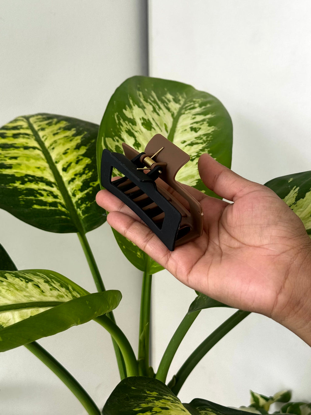 Dual-Tone Frame Claw Clip