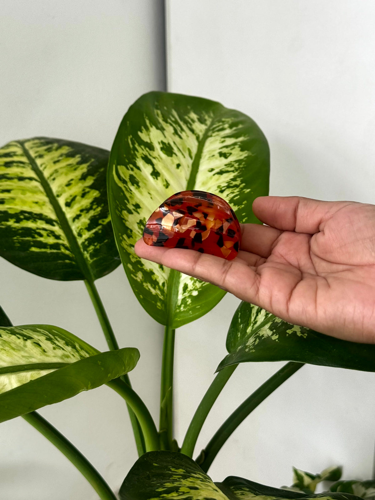 Premium Confetti Mini Claw Clip