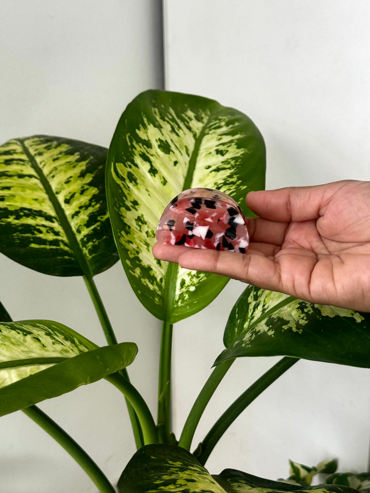 Premium Confetti Mini Claw Clip