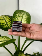 Premium Abstract Wave Square Claw Clips