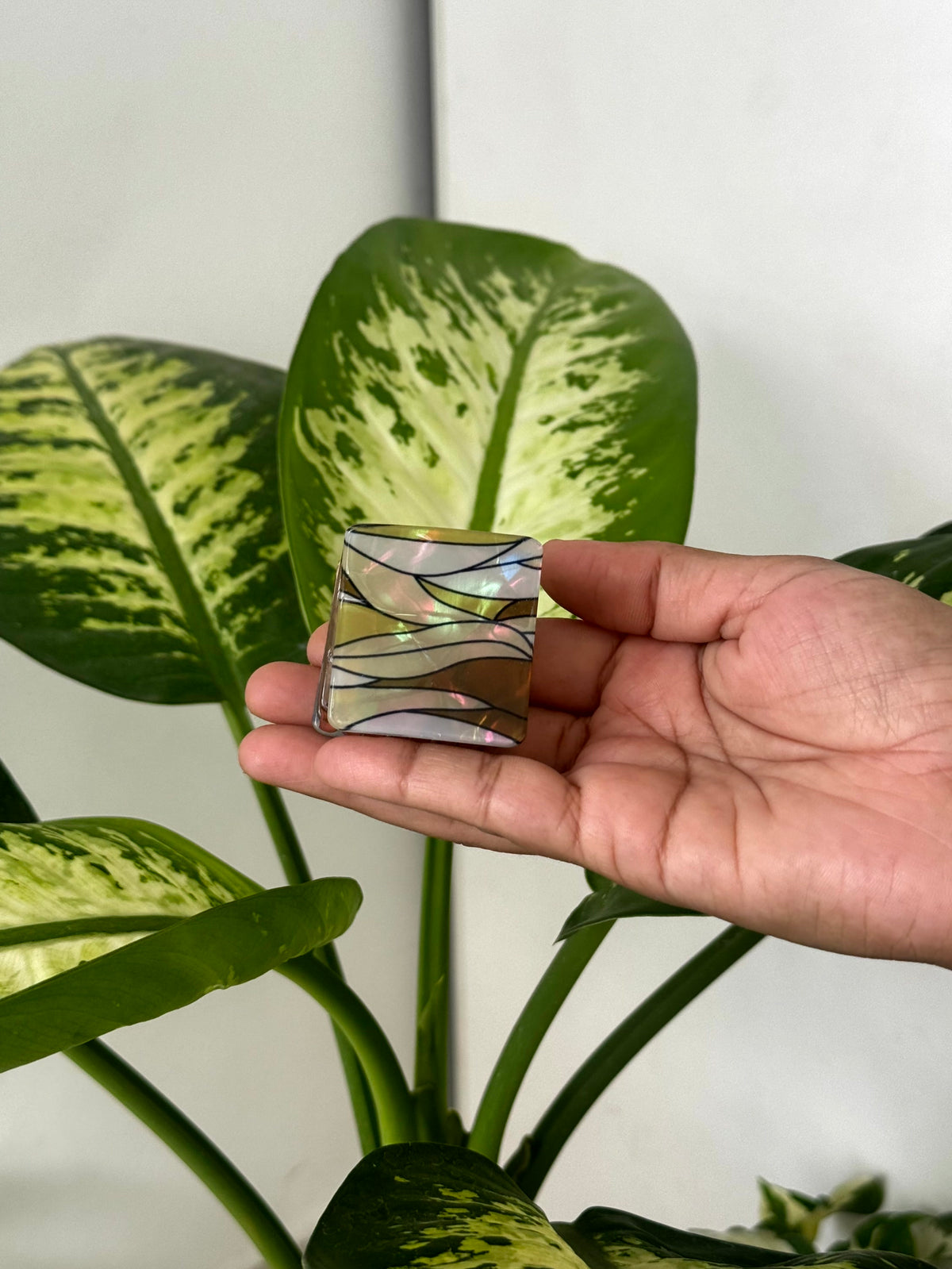 Premium Abstract Wave Square Claw Clips