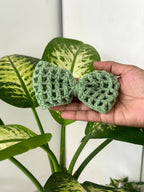 Crochet Bow Hair Clip