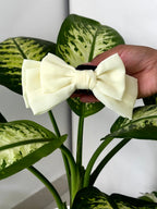 Georgette Grace Big Bow Hair Claw