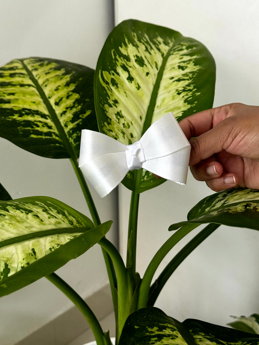 Bow Hair Clip