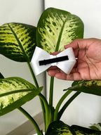 Bow Hair Clip