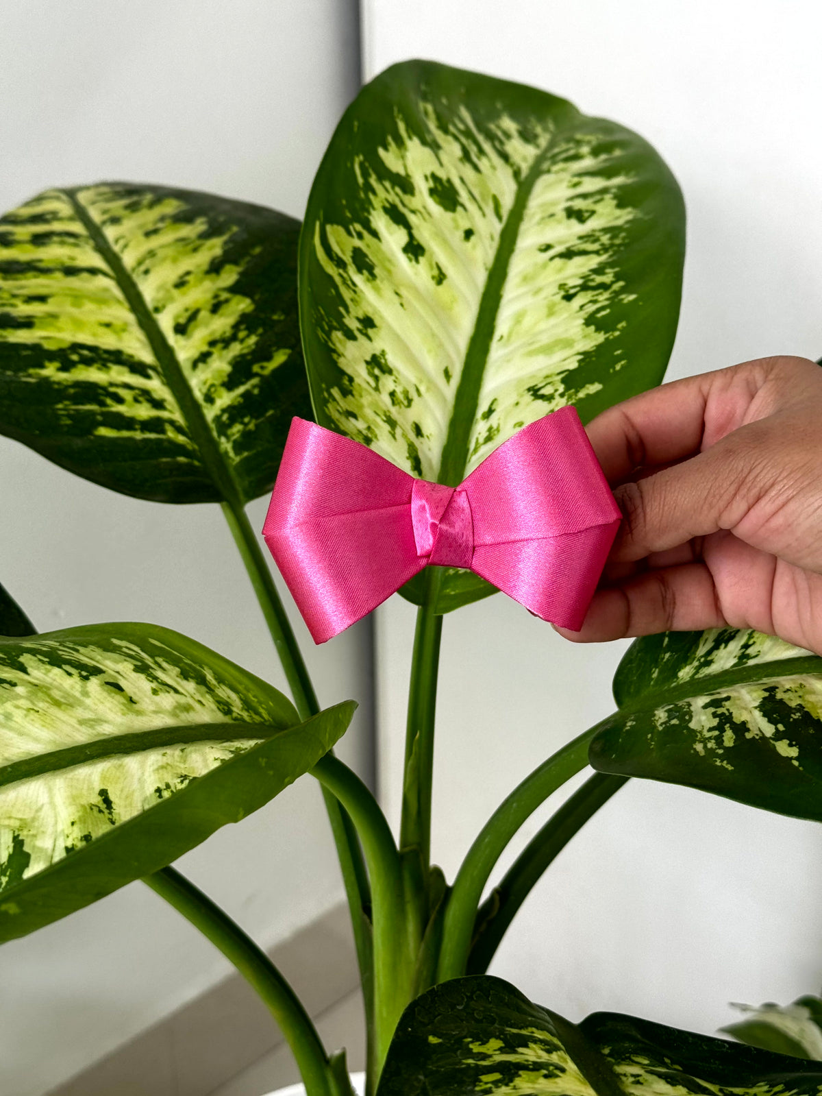 Bow Hair Clip