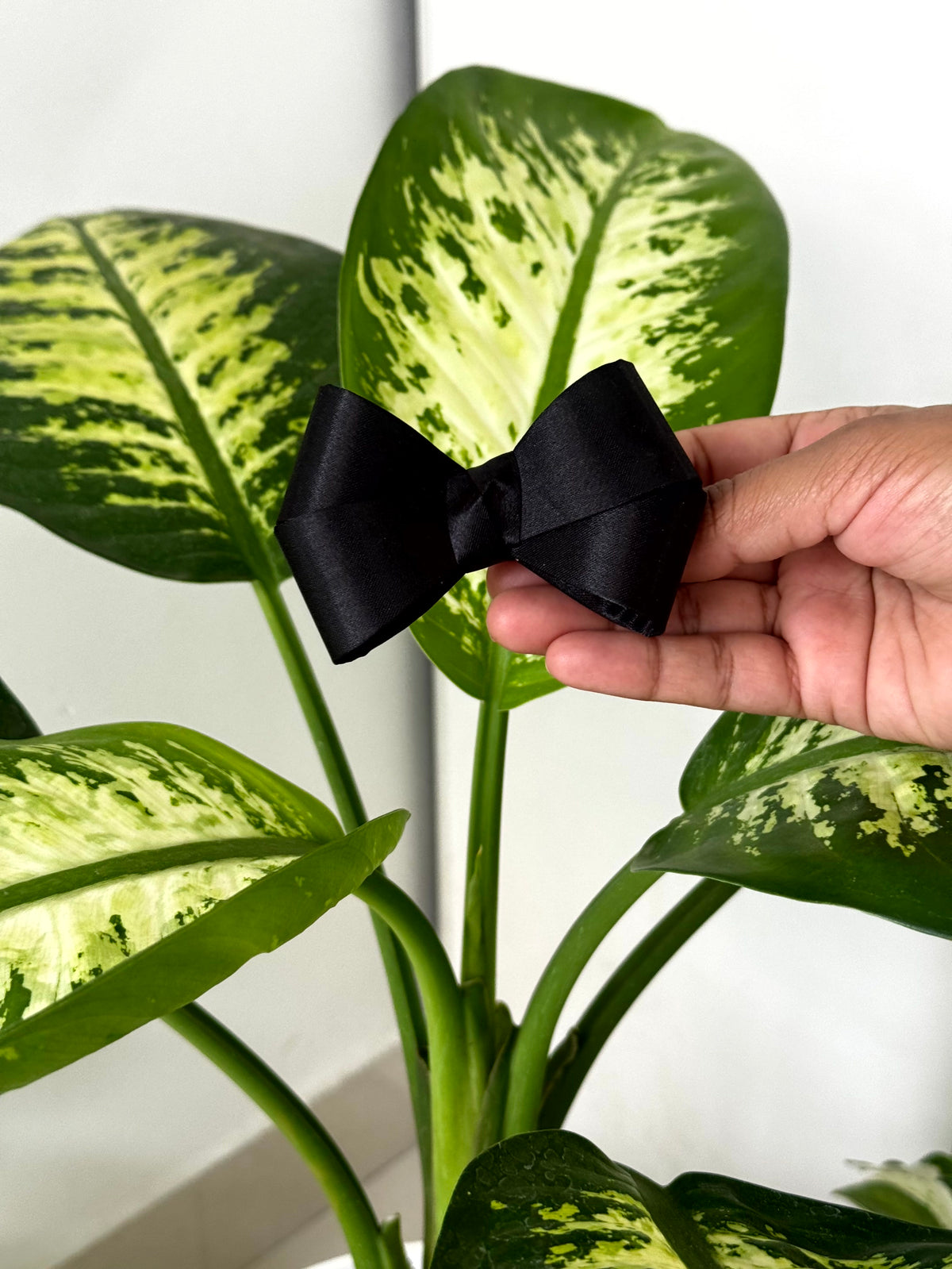Bow Hair Clip