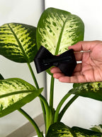 Bow Hair Clip