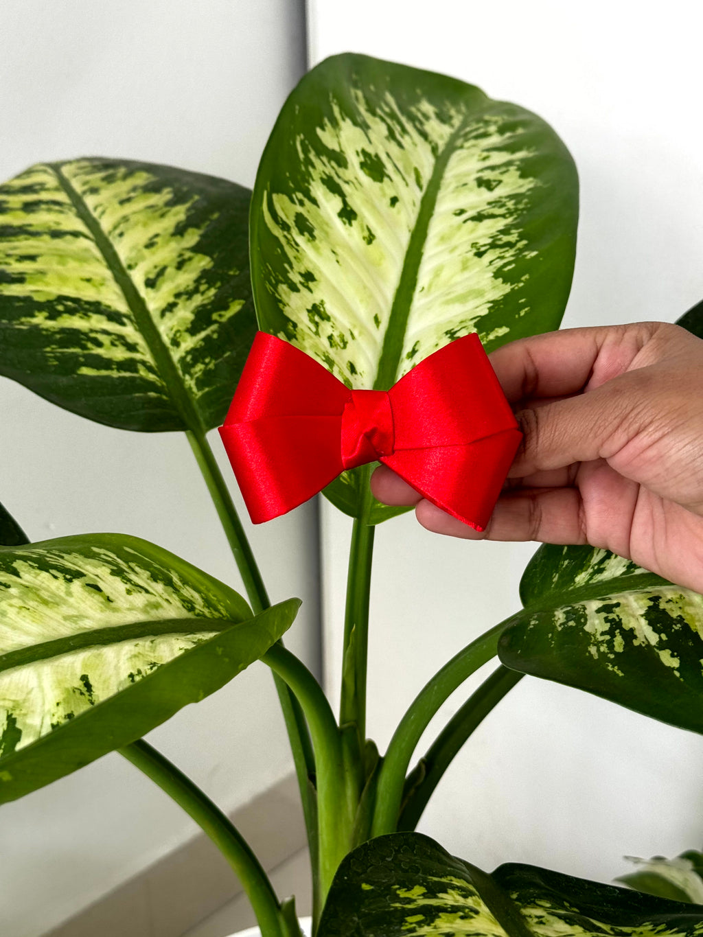 Bow Hair Clip