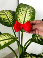 Bow Hair Clip