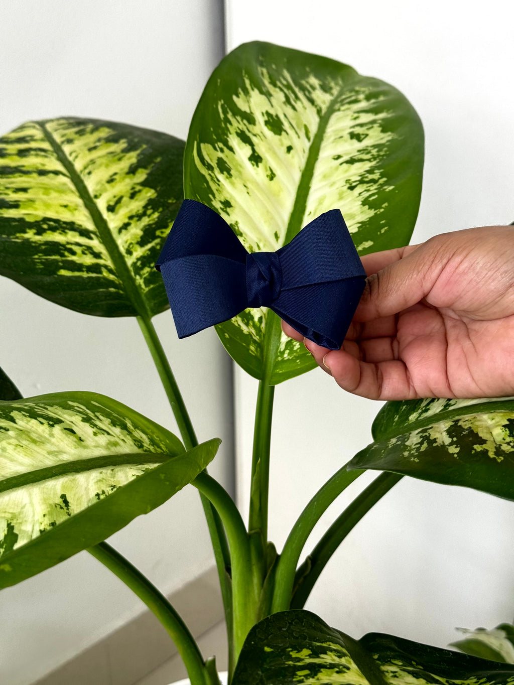 Bow Hair Clip