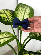 Bow Hair Clip