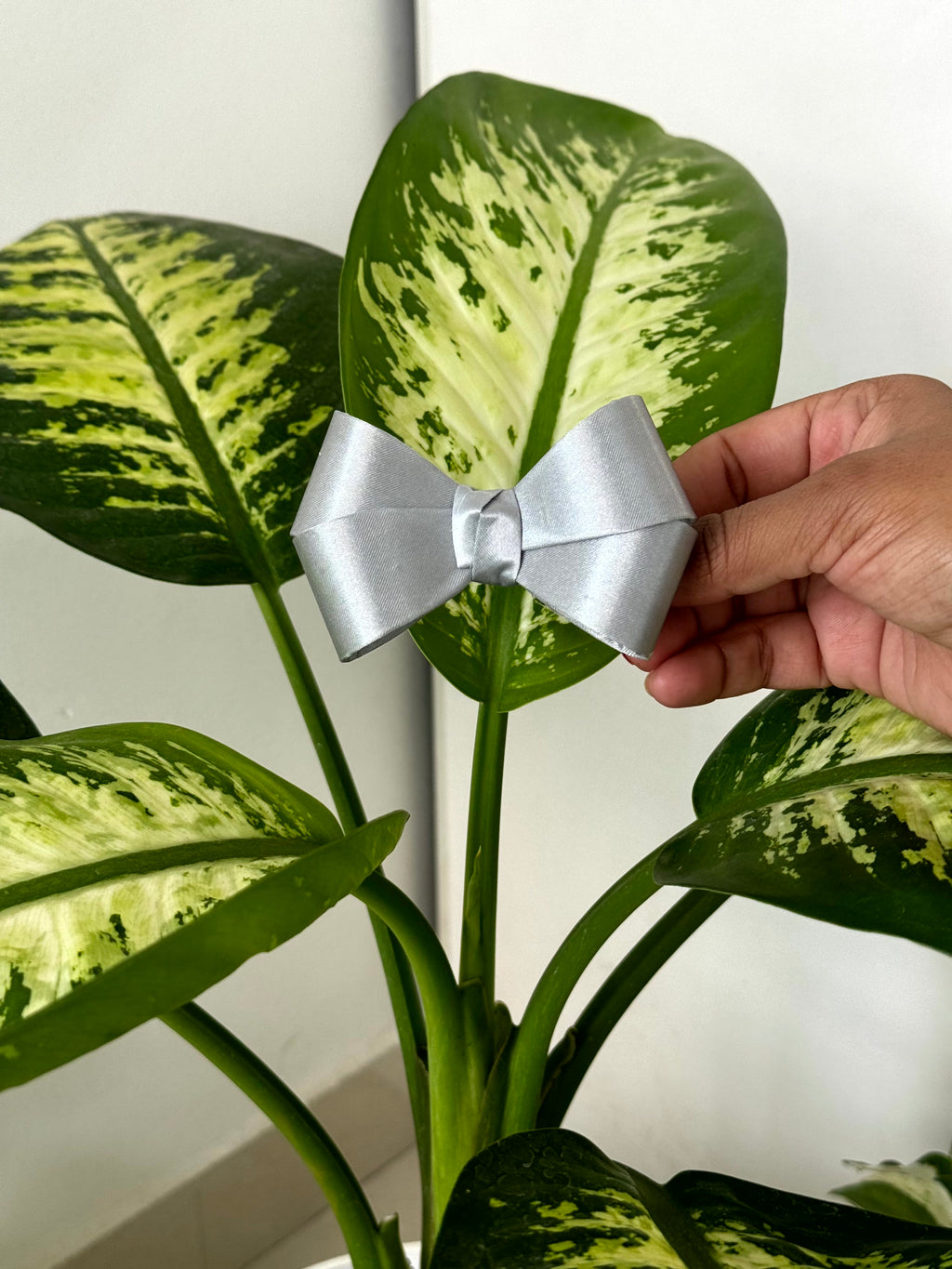 Bow Hair Clip
