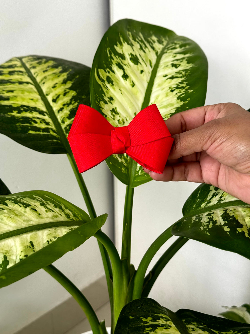 Bow Hair Clip