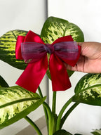 Layered Satin Bow Clip