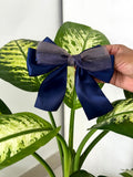 Layered Satin Bow Clip