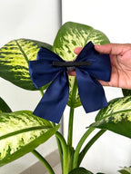 Layered Satin Bow Clip