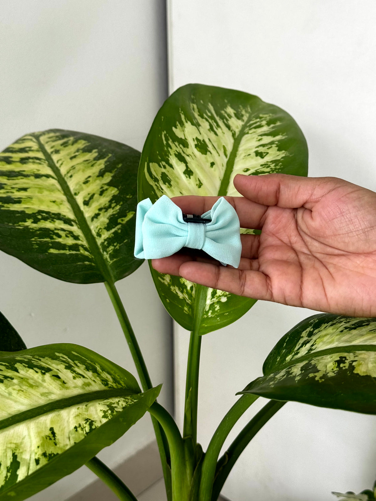 Everyday Mini Bow Hair Claw