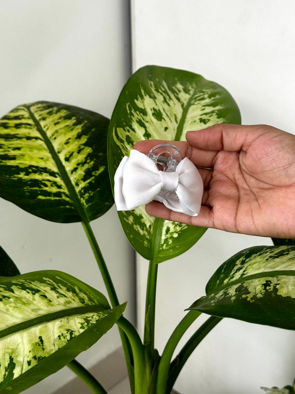 Satin Affair Mini Bow Claw