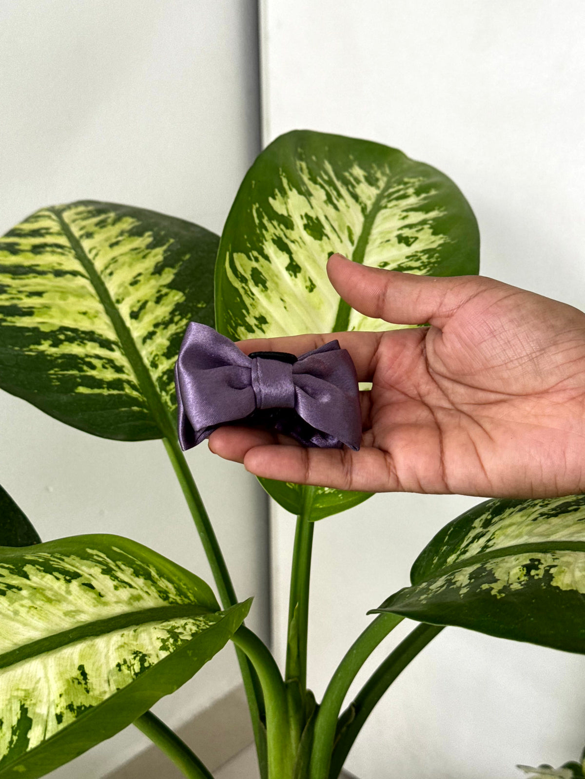 Satin Luxe Mini Bow Hair Claw