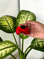 Satin Amora Mini Bow Claw